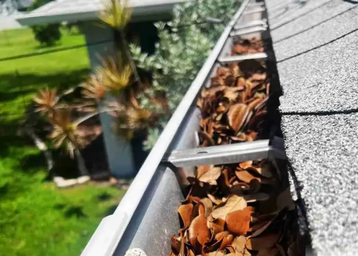Fairfax gutter cleaning home page